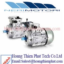 Động cơ cảm ứng ba pha Neri Motori