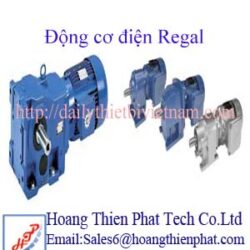 Động cơ điện Regal