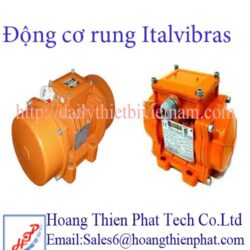 Động cơ điện Italvibras