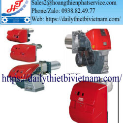 Đầu đốt Gas vô cấp Riello