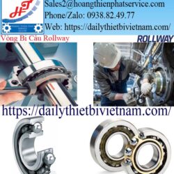 Vòng Bi Cầu Rollway
