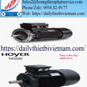Động cơ điện công nghiệp Hoyer
