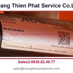 Ty giảm chấn thủy lực ACE HB-40-300-EE-N - Ty giảm chấn thủy lực ACE HB-40-300-EE-N