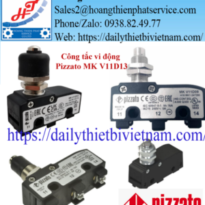 Công tắc vi động Pizzato MK V11D13