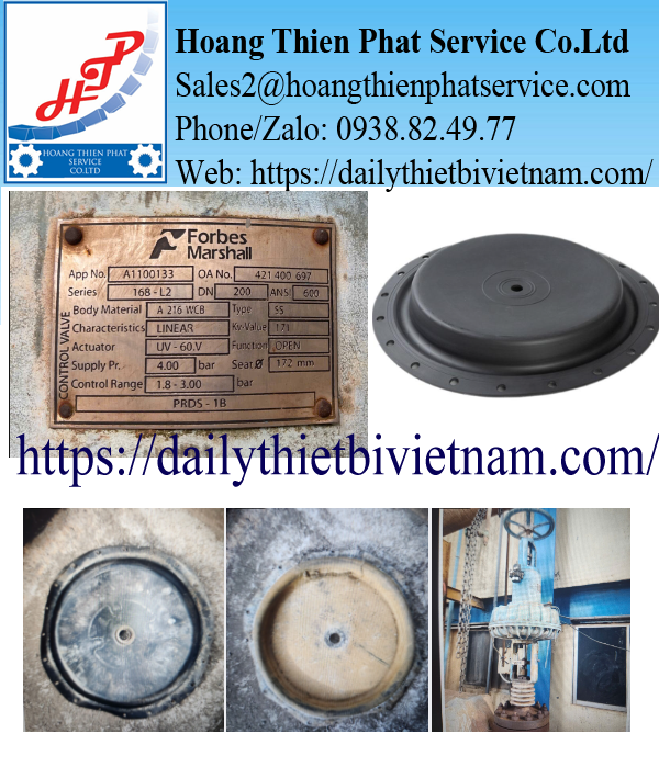 Màng Van Forbes Marshall UV-60 Màng Van Forbes Marshall UV-60.V
